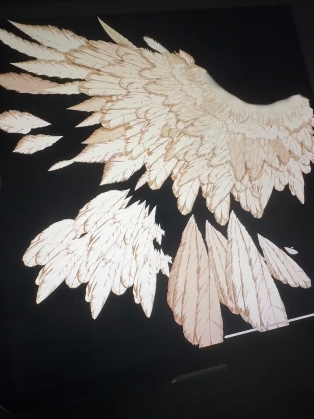 🪶 Feather Brush Set for Procreate