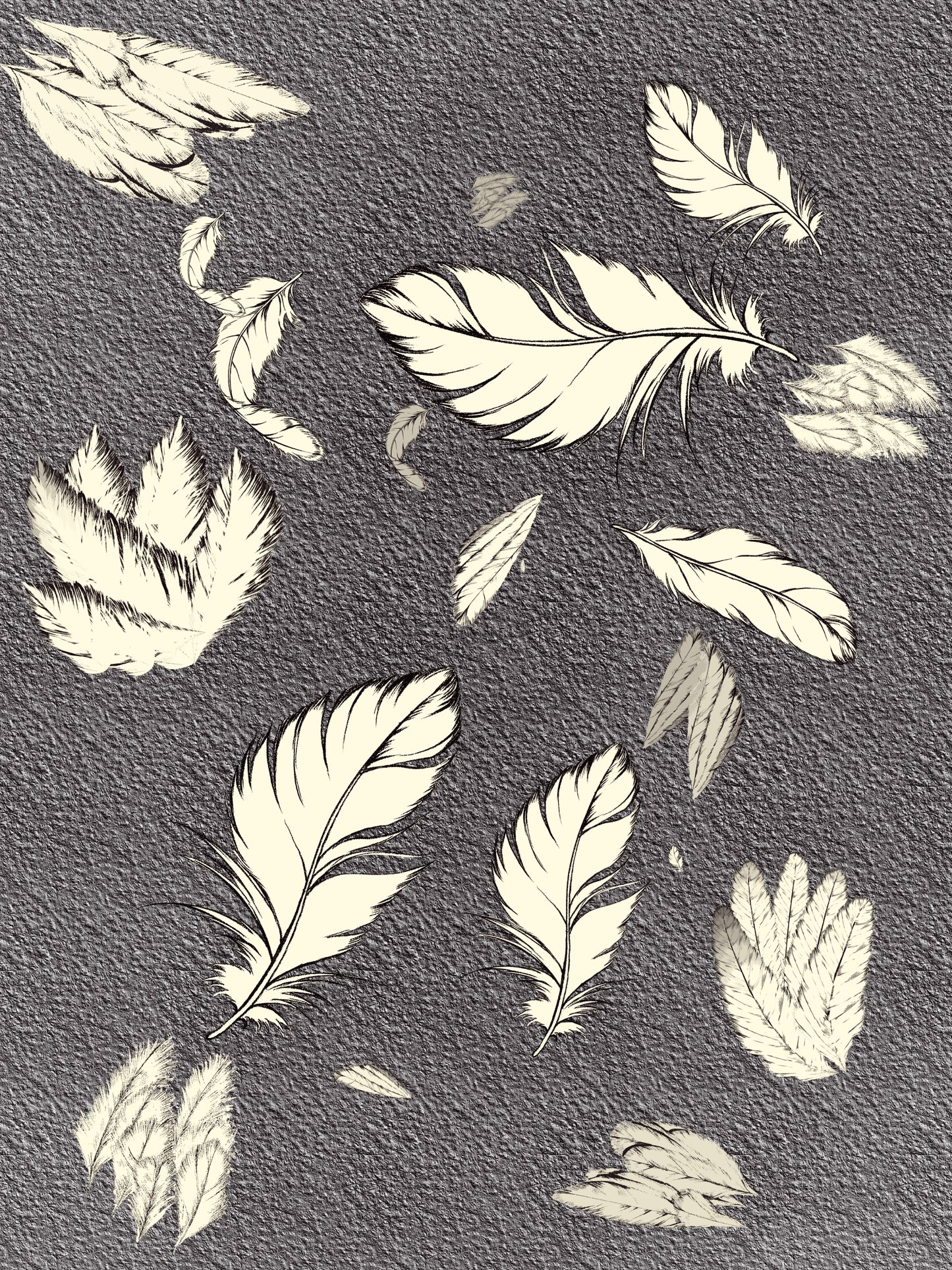 🪶 Feather Brush Set for Procreate