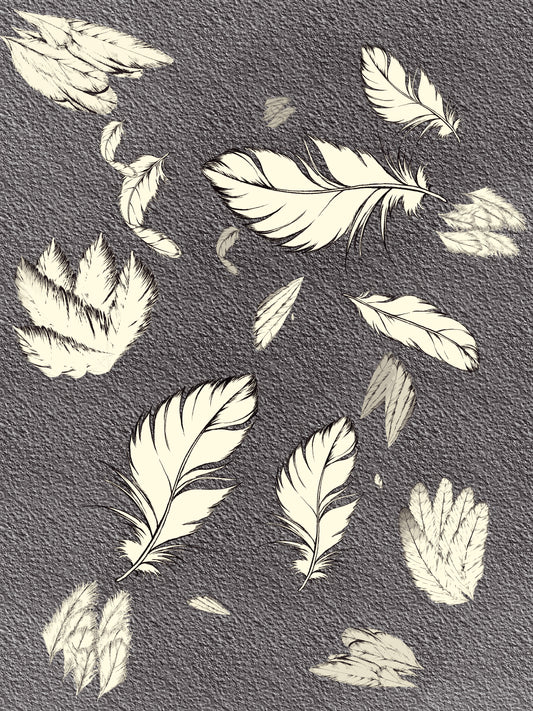 🪶 Feather Brush Set for Procreate