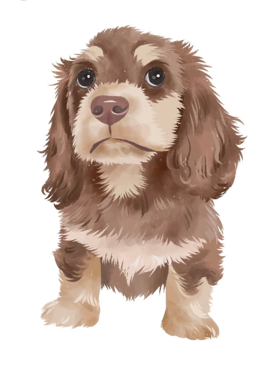🐾 Animal Fur Brush Set for Procreate – Realistic & Versatile