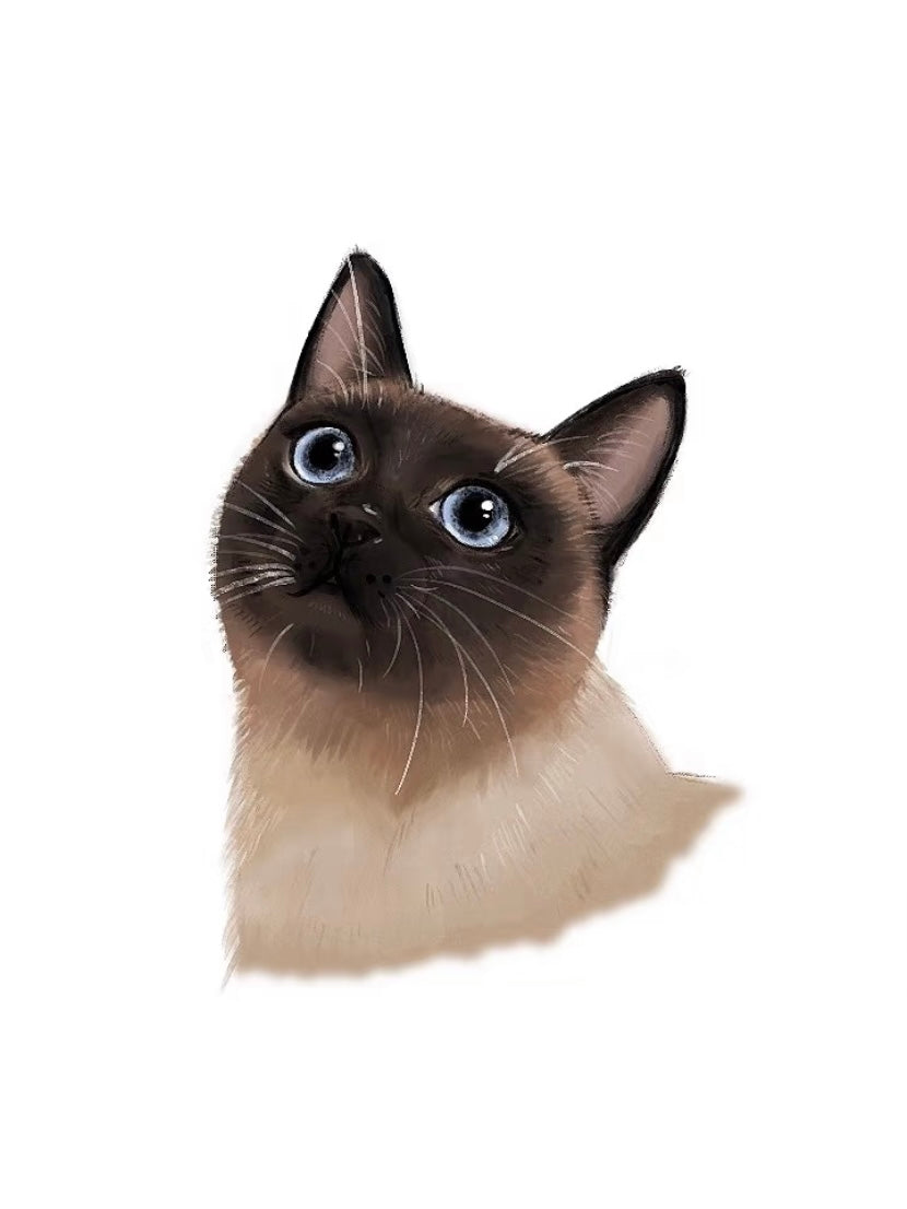 🐾 Animal Fur Brush Set for Procreate – Realistic & Versatile