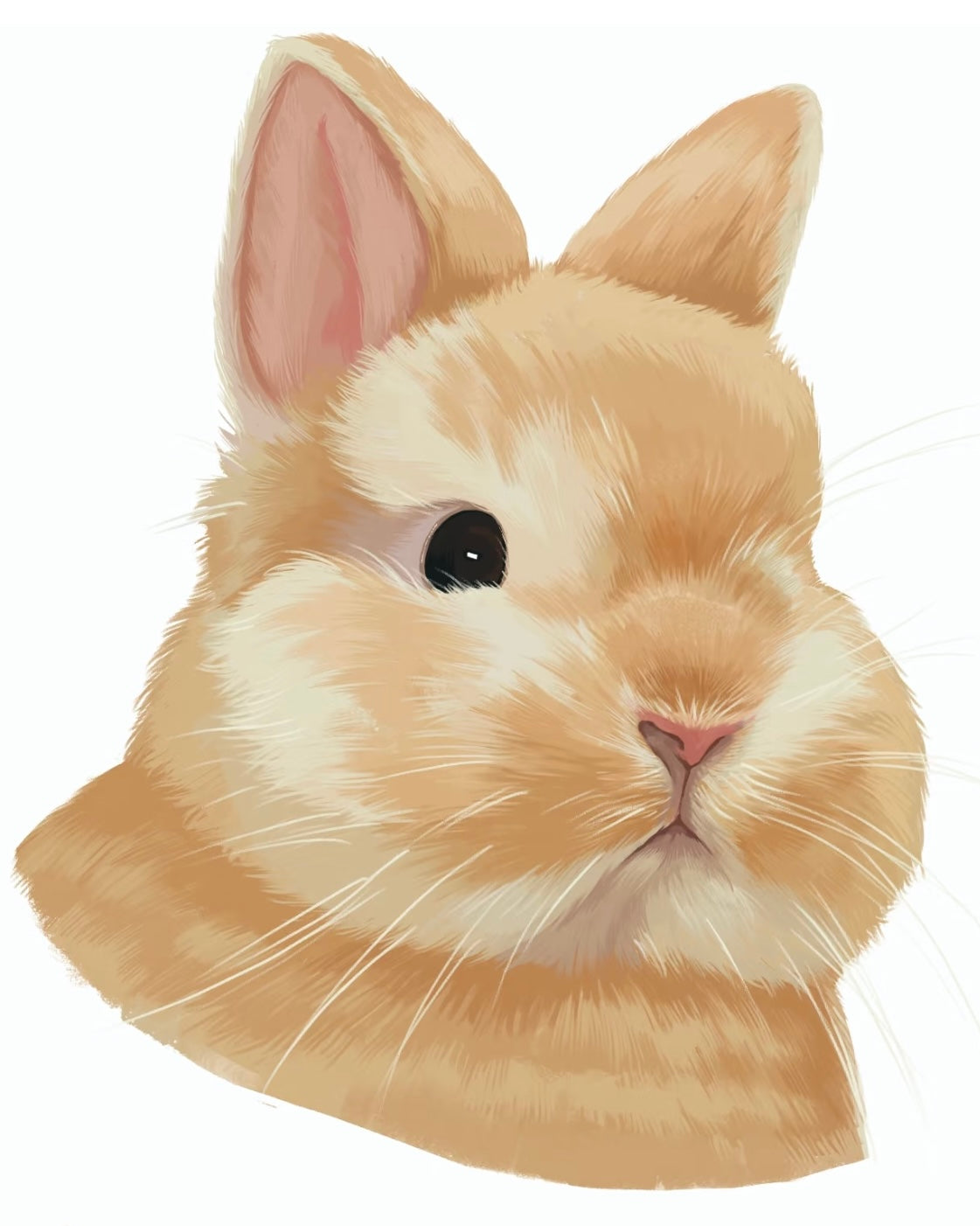 🐾 Animal Fur Brush Set for Procreate – Realistic & Versatile