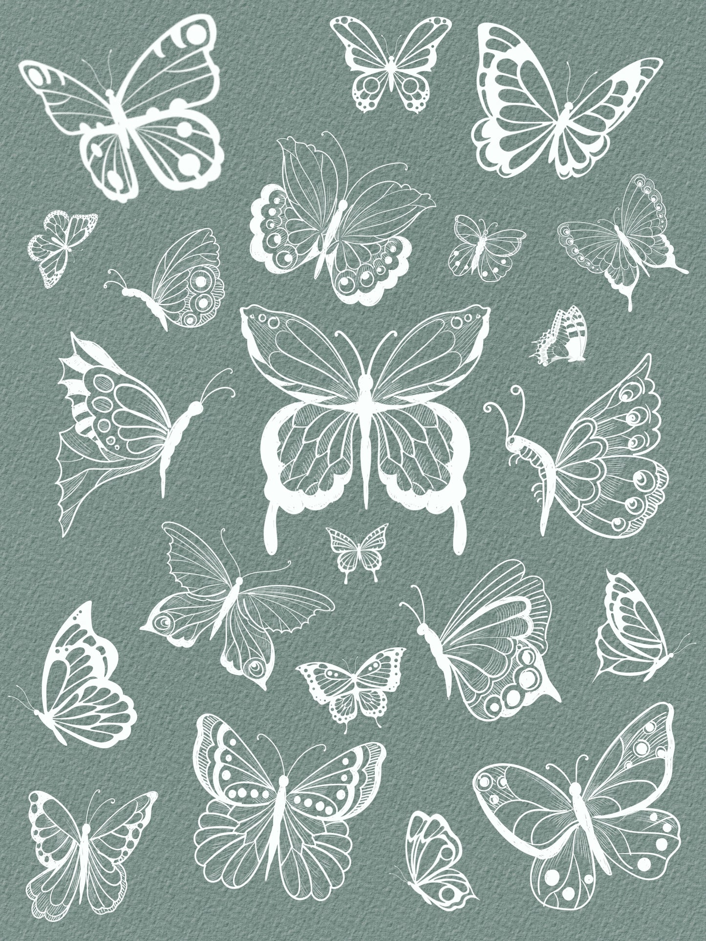 90 Butterfly Element Brushes for Procreate